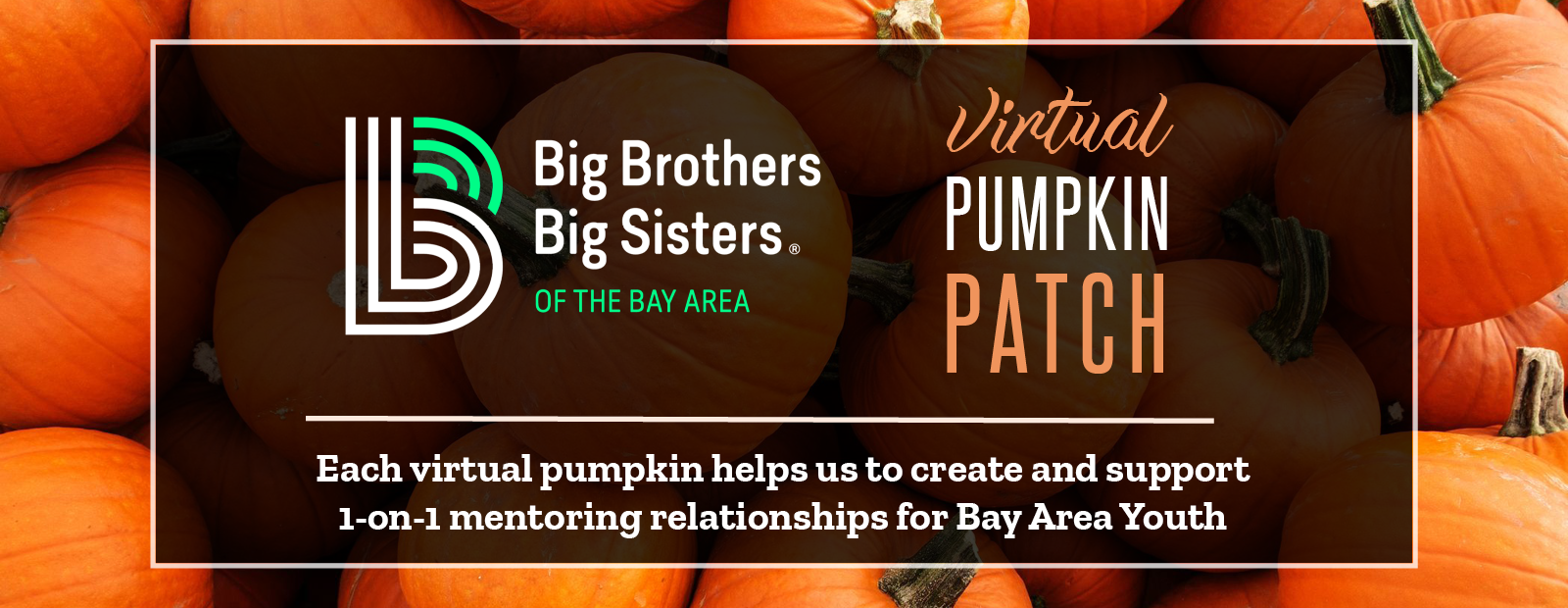 Virtual Pumpkin Patch